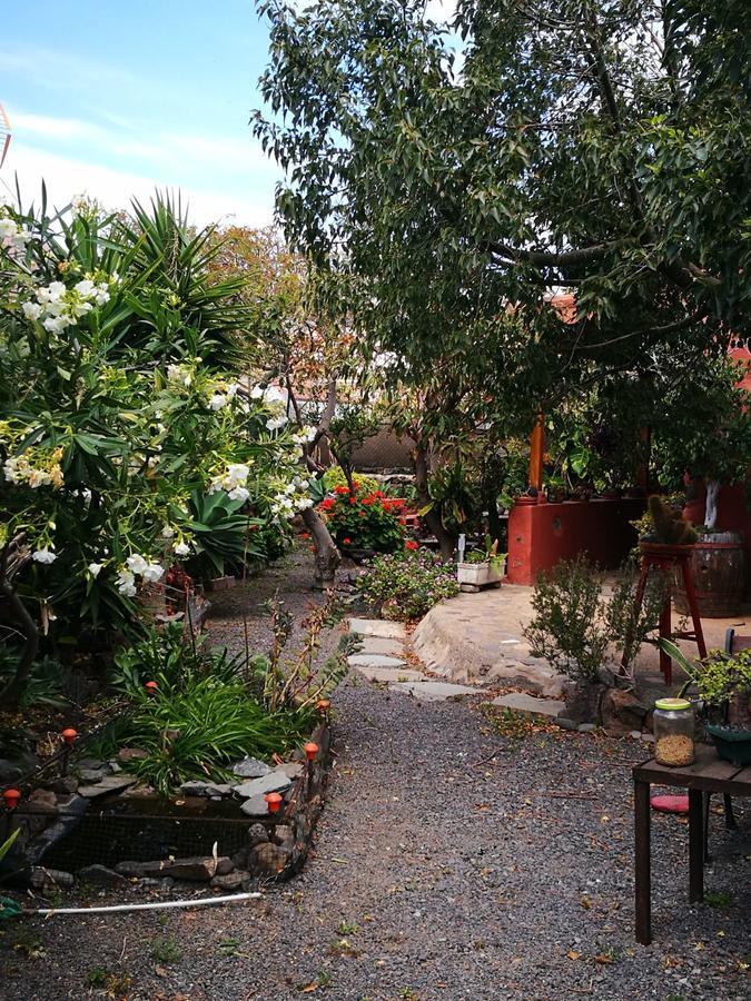 La Laguna * San Sebastián de la Gomera